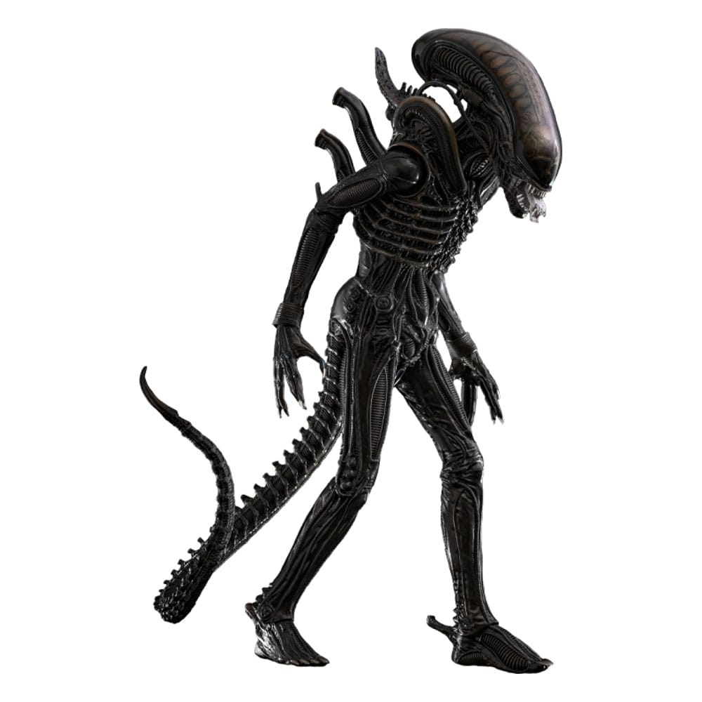 Alien Movie Masterpiece Action Figure 1/6 ALIEN Big Chap