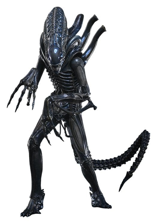 Alien Movie Masterpiece Action Figure 1/6 ALIEN WARRIOR