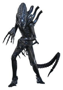 Alien Movie Masterpiece Action Figure 1/6 ALIEN WARRIOR