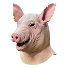 Spiral Mask Pig - 2