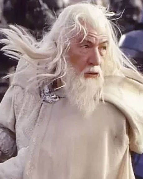 The Lord of the Rings Figures of Fandom PVC Statue Gandalf the White - 2