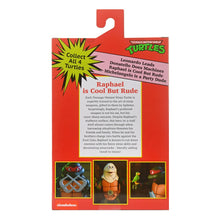 Teenage Mutant Ninja Turtles (1987 Cartoon) Action Figure ULTIMATE RAPHAEL (VHS) - 3