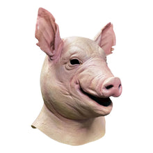 Spiral Mask Pig - 3