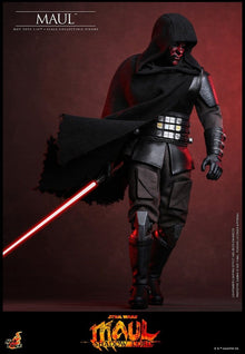Star Wars: Maul - Shadow Lord Television Masterpiece Action Figure 1/6 MAUL - 5