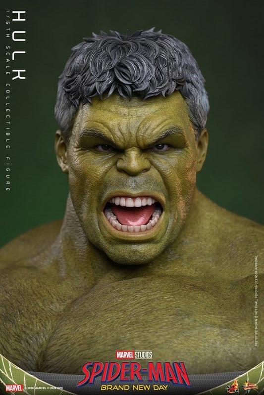 Spider-Man: Brand New Day Action Figure 1/6 HULK - 5