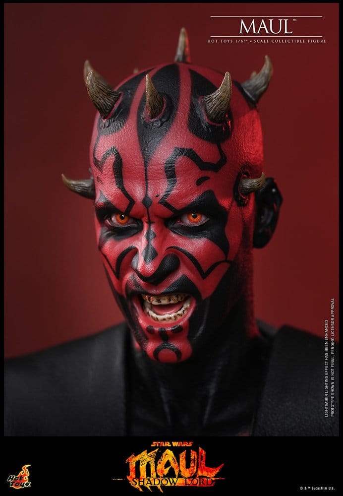Star Wars: Maul - Shadow Lord Television Masterpiece Action Figure 1/6 MAUL - 6