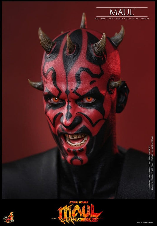 Star Wars: Maul - Shadow Lord Television Masterpiece Action Figure 1/6 MAUL - 6