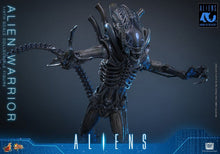 Alien Movie Masterpiece Action Figure 1/6 ALIEN WARRIOR - 7