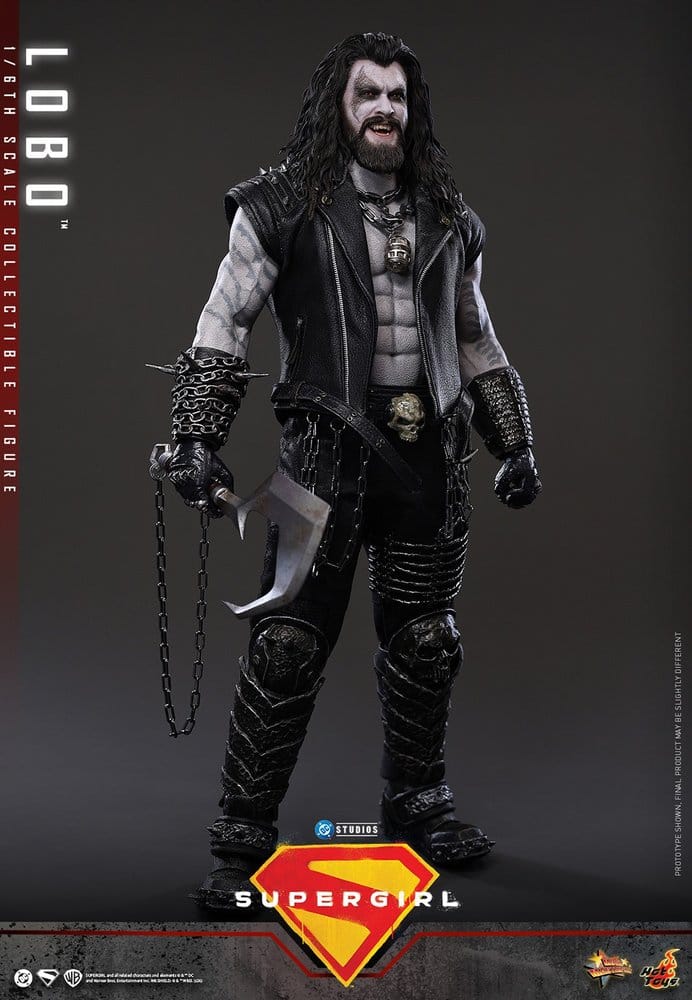 DC Comics Movie Masterpiece Action Figure 1/6 LOBO - 8