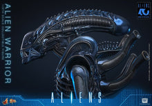 Alien Movie Masterpiece Action Figure 1/6 ALIEN WARRIOR - 10
