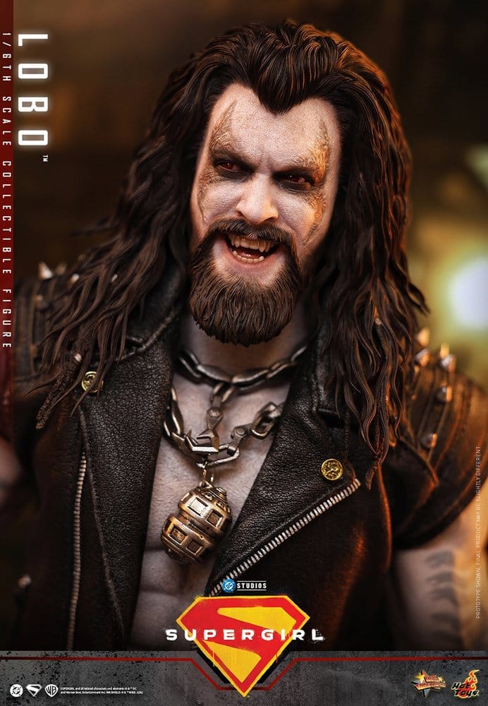 DC Comics Movie Masterpiece Action Figure 1/6 LOBO - 13