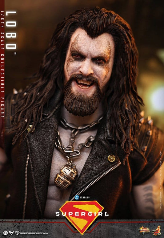 DC Comics Movie Masterpiece Action Figure 1/6 LOBO - 13