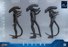 Alien Movie Masterpiece Action Figure 1/6 ALIEN WARRIOR - 16