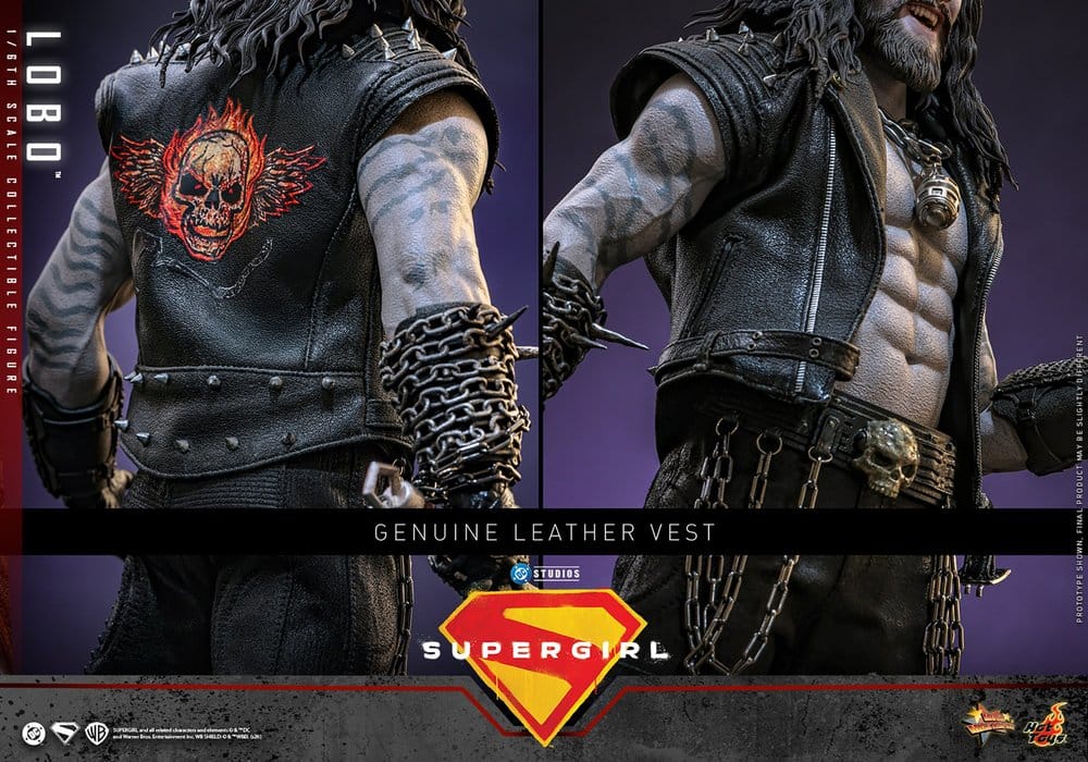 DC Comics Movie Masterpiece Action Figure 1/6 LOBO - 17