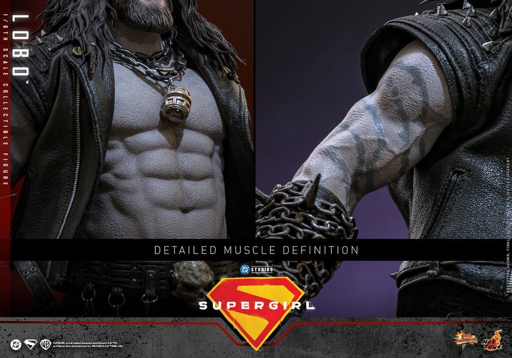 DC Comics Movie Masterpiece Action Figure 1/6 LOBO - 18