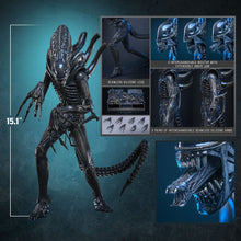 Alien Movie Masterpiece Action Figure 1/6 ALIEN WARRIOR - 19
