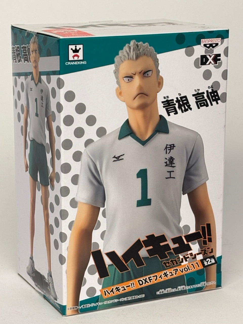 Haikyu! DXF Figure TAKANOBU AONE
