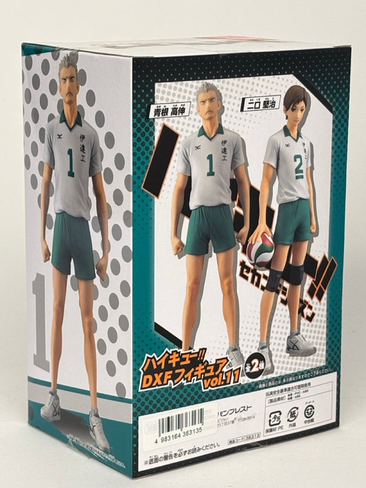 Haikyu! DXF Figure TAKANOBU AONE