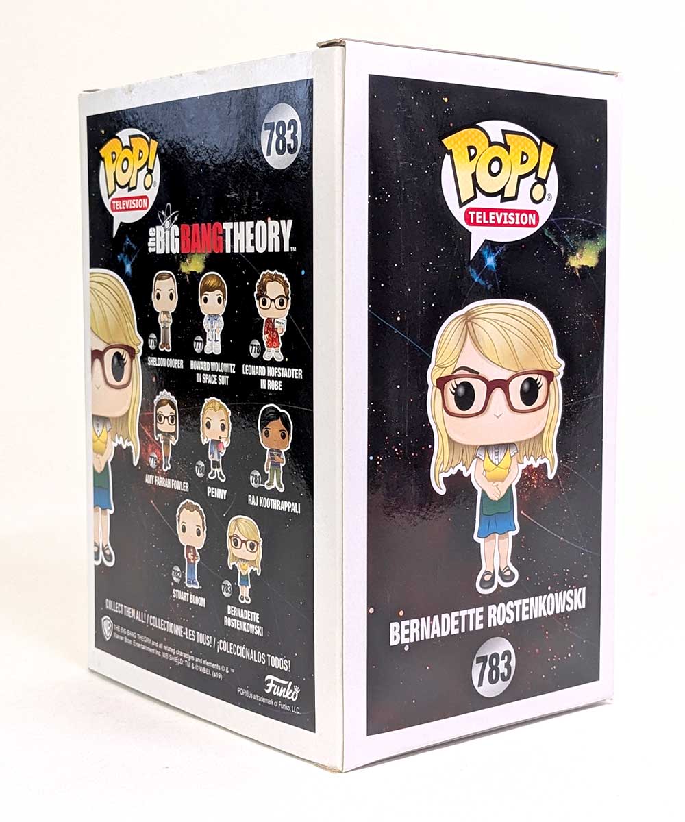 Die Urknalltheorie - Bernadette Rostenkowsky 783