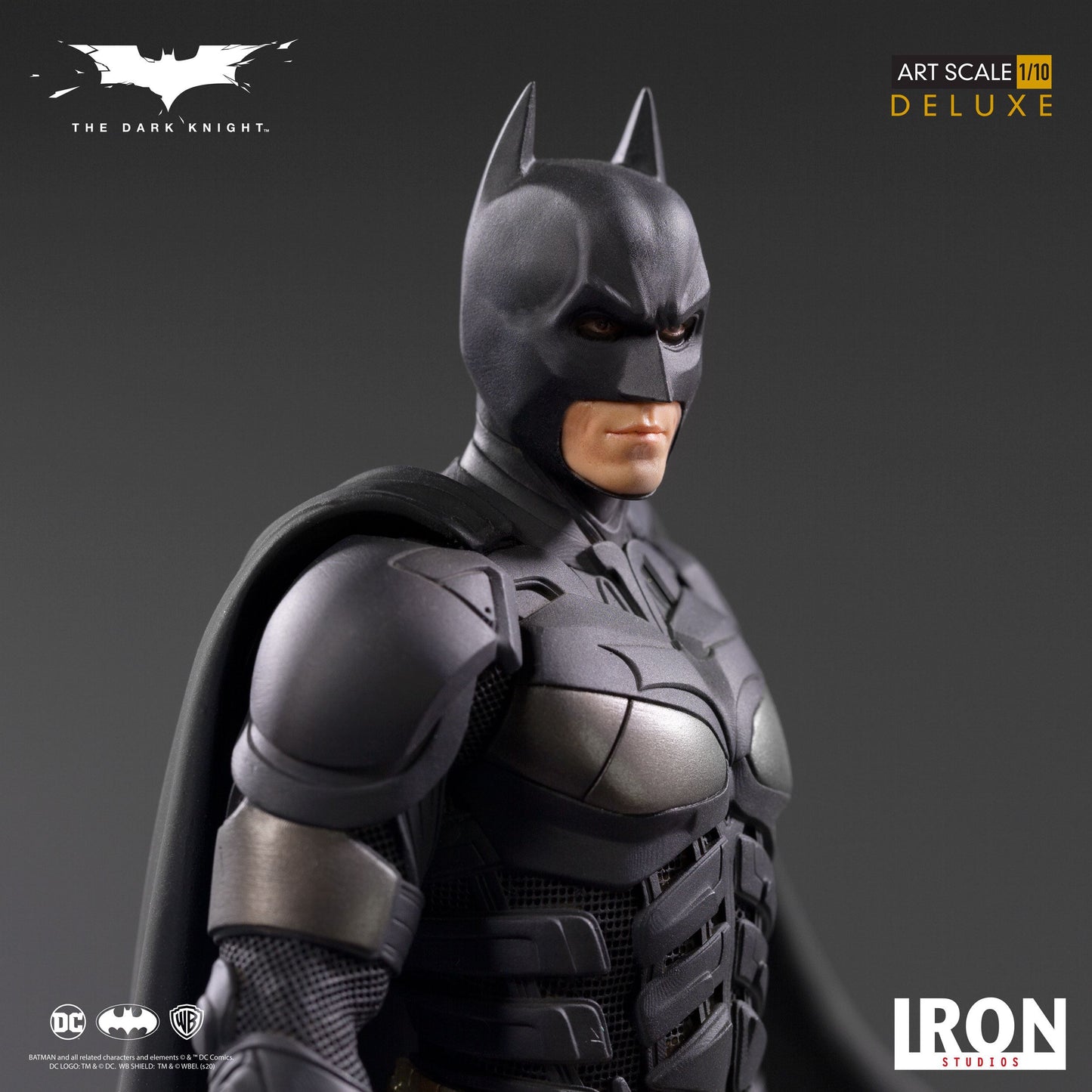 Dark Knight Deluxe Art, The - Batman