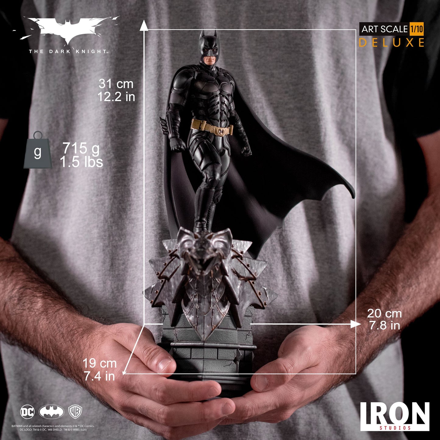 Dark Knight Deluxe Art, The - Batman