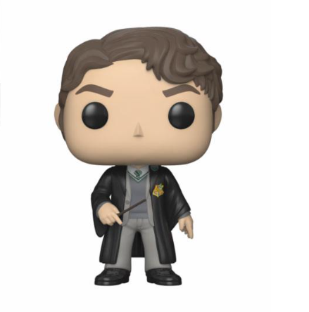 Harry Potter - Tom Riddle Exclusive 60