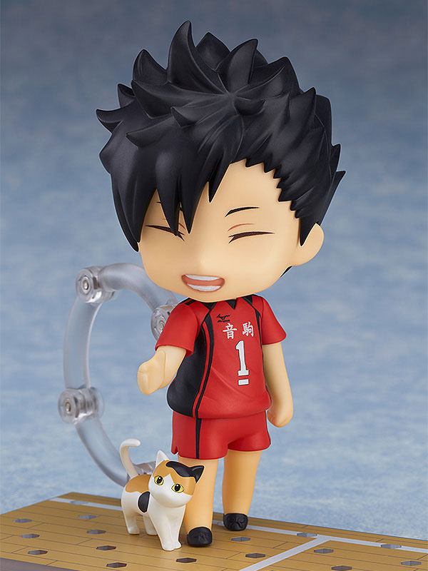 Haikyu! - Tetsuro Kuroo